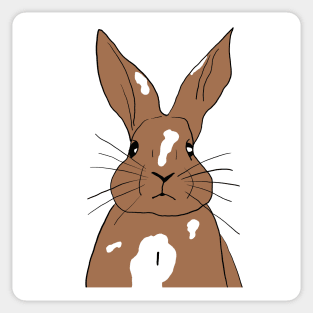 white fawn brown rabbit Sticker